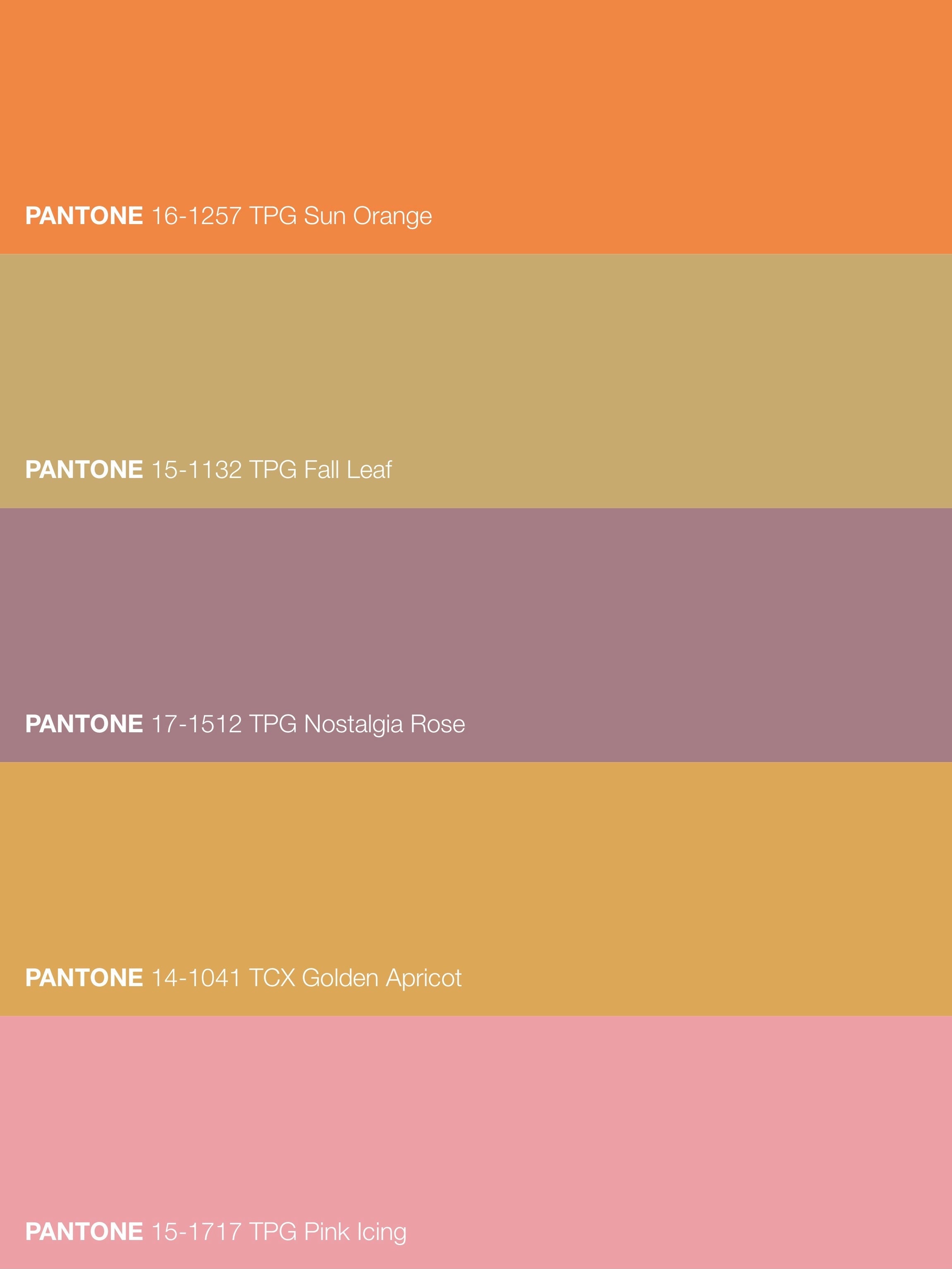 Vintage Kilim Tavas 288x177 cm - Wild Heart Free Soul